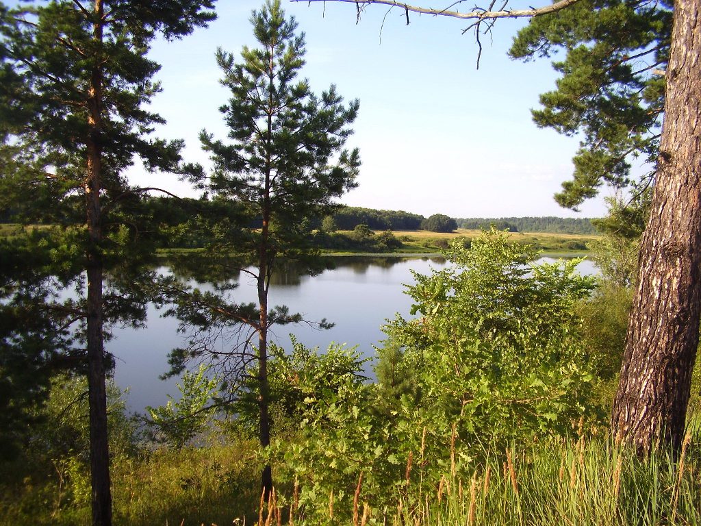 Реферат: Нижегородская область